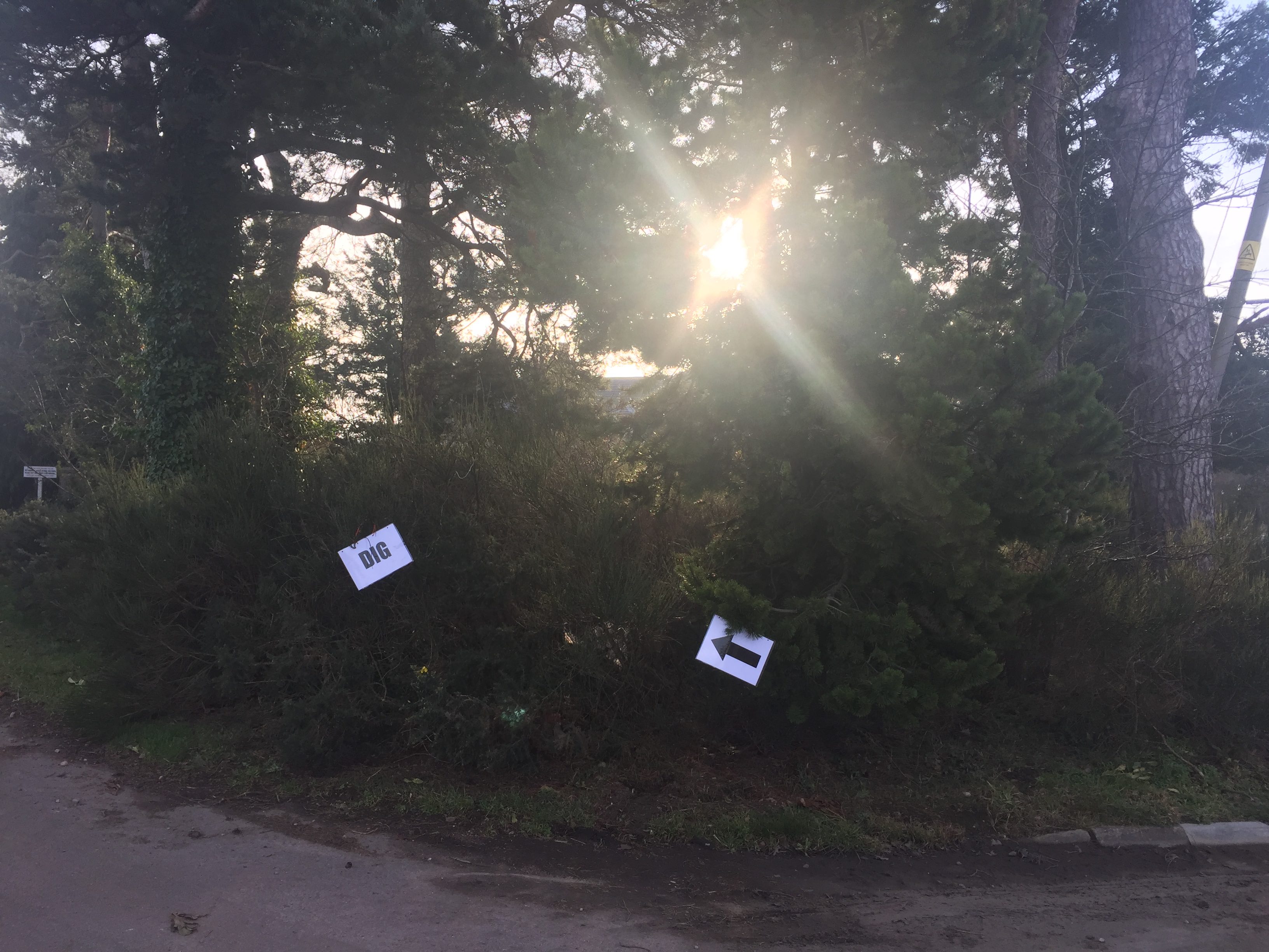 Fun in the Test Pit – Caroline Wickham-Jones